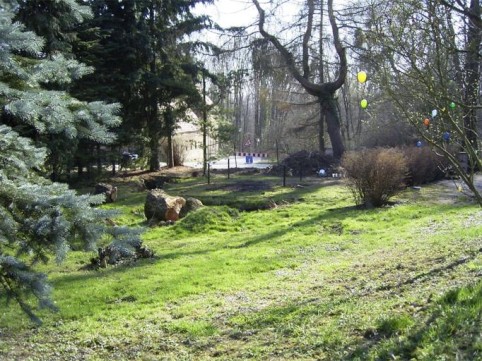Zum Bild in Originalgr��e hier klicken...