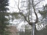 14 * 682 x 512 * (99KB)