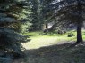 20 * 682 x 512 * (86KB)