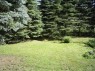 33 * 682 x 512 * (115KB)